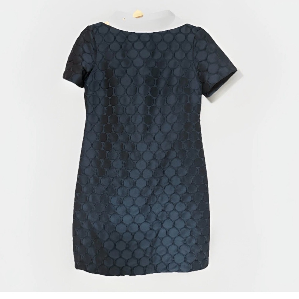 Muse black textured polka dot lined shift dress size 8